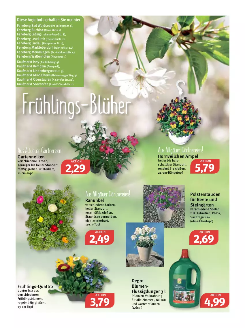 Aktueller Prospekt Feneberg - Prospekte - von 24.03 bis 26.03.2022 - strona 10 - produkty: angebot, angebote, auer, Bad, ball, blume, blumen, buch, chloe, Diesel, dünger, Egger, eis, elle, emmi, flüssigdünger, Garten, gartennelke, Gartenpflanze, Hängetopf, LG, Ofen, pflanze, pflanzen, stauden, Ti, topf, übertopf