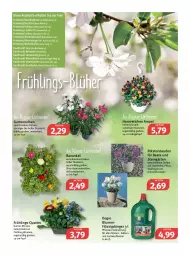 Gazetka promocyjna Feneberg - Prospekte - Gazetka - ważna od 26.03 do 26.03.2022 - strona 10 - produkty: angebot, angebote, auer, Bad, ball, blume, blumen, buch, chloe, Diesel, dünger, Egger, eis, elle, emmi, flüssigdünger, Garten, gartennelke, Gartenpflanze, Hängetopf, LG, Ofen, pflanze, pflanzen, stauden, Ti, topf, übertopf