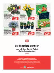 Gazetka promocyjna Feneberg - Prospekte - Gazetka - ważna od 26.03 do 26.03.2022 - strona 16 - produkty: auer, Backform, dauertiefpreis, decke, eis, elle, lamm, LG, Narzissen, reis, Ti, tiefpreis, topf, Vase, wasser