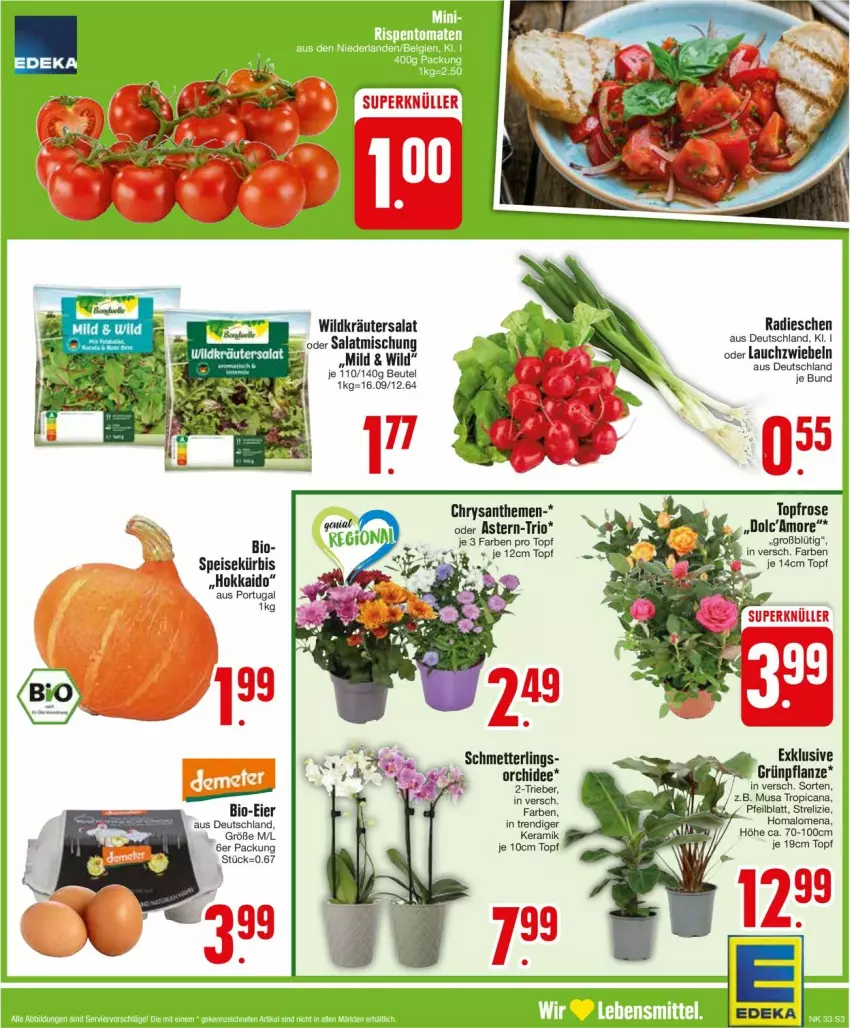 Aktueller Prospekt Edeka - Prospekte - von 12.08 bis 17.08.2024 - strona 5 - produkty: beutel, bio, chrysanthemen, deka, eier, eis, kräuter, Lauchzwiebel, lauchzwiebeln, Mett, orchidee, pflanze, radieschen, rel, salat, Schmetterling, topf, Wild, zwiebel, zwiebeln