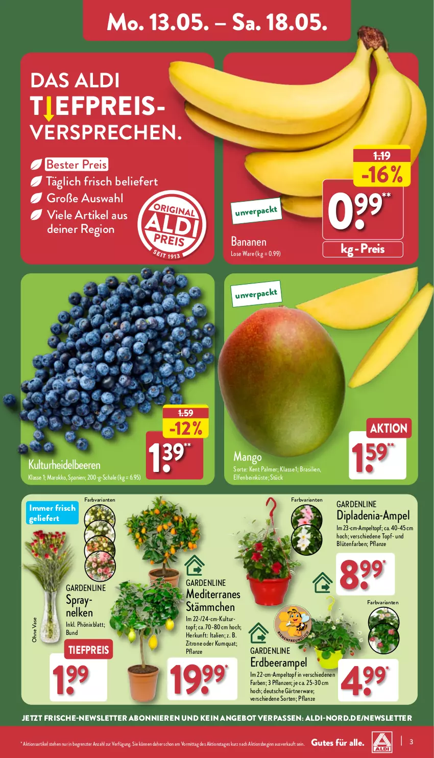 Aktueller Prospekt Aldi Nord - Von Montag - von 13.05 bis 18.05.2024 - strona 3 - produkty: aldi, angebot, banane, bananen, beere, beeren, Blüte, Brei, dip, dipladenia, eis, gin, heidelbeere, heidelbeeren, mango, pflanze, pflanzen, reis, Ria, Schal, Schale, Ti, tiefpreis, topf, Vase, zitrone, ZTE