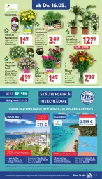 Gazetka promocyjna Aldi Nord - Von Montag - Gazetka - ważna od 18.05 do 18.05.2024 - strona 25 - produkty: aldi, auer, blume, blumen, Blüte, Brei, buch, cin, eier, eis, fleisch, gin, kulturtopf, pflanze, pflanzen, Rauch, reis, Ria, Schal, strauchtomaten, Ti, tomate, tomaten, topf, Vase, ZTE