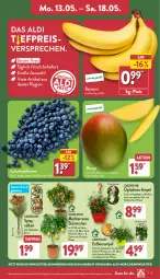 Gazetka promocyjna Aldi Nord - Von Montag - Gazetka - ważna od 18.05 do 18.05.2024 - strona 3 - produkty: aldi, angebot, banane, bananen, beere, beeren, Blüte, Brei, dip, dipladenia, eis, gin, heidelbeere, heidelbeeren, mango, pflanze, pflanzen, reis, Ria, Schal, Schale, Ti, tiefpreis, topf, Vase, zitrone, ZTE