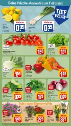 Gazetka promocyjna Rewe - Prospekte - Gazetka - ważna od 19.08 do 19.08.2023 - strona 5 - produkty: blattspinat, blume, blumen, eis, fenchel, Gerber, Kaiser, limette, limetten, Mett, metten, paprika, pflanze, reis, rewe beste wahl, rispentomaten, Schal, Schale, snack, Speisezwiebeln, spinat, stauden, Ti, tiefpreis, tisch, tomate, tomaten, topf, zitrone, zitronen, zwiebel, zwiebeln