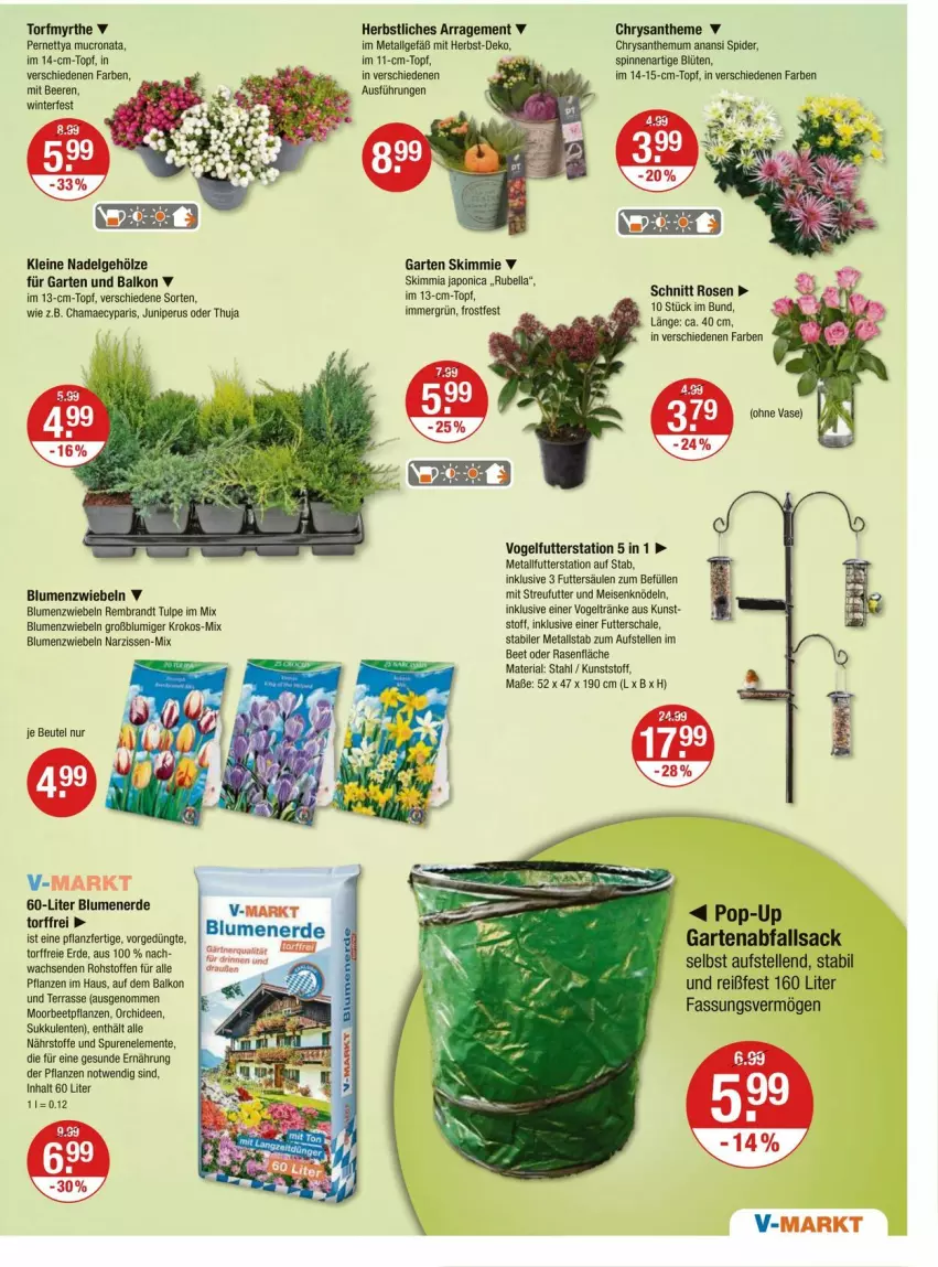 Aktueller Prospekt Vmarkt - Prospekte - von 09.10 bis 15.10.2025 - strona 15 - produkty: beere, beeren, beetpflanzen, beutel, blume, blumen, blumenerde, Blüte, brandt, eis, elle, ente, erde, Garten, hama, Knödel, leine, LG, Meisenknödel, Narzissen, orchidee, orchideen, pflanze, pflanzen, rasen, Ria, rosen, sac, Schal, Schale, senf, Streufutter, Sukkulente, Ti, topf, Vase, Vogelfutter, zwiebel, zwiebeln