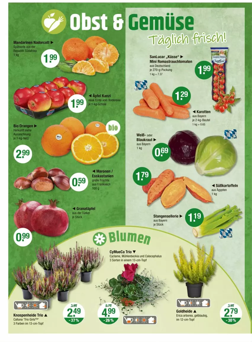 Aktueller Prospekt Vmarkt - Prospekte - von 09.10 bis 15.10.2025 - strona 4 - produkty: Astra, beutel, elle, karotten, kartoffel, kartoffeln, Kraut, Rauch, Stangensellerie, strauchtomaten, Süßkartoffeln, tomate, tomaten, topf
