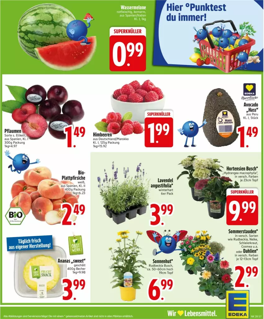 Aktueller Prospekt Edeka - Prospekte - von 07.07 bis 12.07.2025 - strona 9 - produkty: ananas, avocado, Becher, beere, beeren, bio, cosmea, dahlie, eier, himbeer, himbeere, himbeeren, hydrangea, Kraut, lavendel, mac, pfirsich, pfirsiche, plattpfirsiche, snack, stauden, Ti, topf