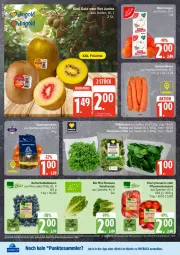 Gazetka promocyjna Edeka - Prospekte - Gazetka - ważna od 10.01 do 10.01.2026 - strona 6 - produkty: beere, beeren, bio, cherrytomaten, deka, edeka bio, eis, heidelbeere, heidelbeeren, mam, payback, pflaume, pflaumen, reis, salat, salatherzen, tesa, Ti, tomate, tomaten, ZTE