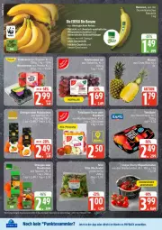 Gazetka promocyjna Edeka - Prospekte - Gazetka - ważna od 10.01 do 10.01.2026 - strona 8 - produkty: banane, bananen, Bau, dünger, eis, ente, honig, mac, nexa, payback, pflanze, pflanzen, reis, rispentomaten, salat, tafeläpfel, tesa, Ti, tisch, tomate, tomaten, vita, ZTE