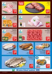 Gazetka promocyjna Marktkauf - Prospekt - Gazetka - ważna od 21.03 do 21.03.2026 - strona 13 - produkty: bismarck, braten, brötchen, eis, elle, filet, fisch, fleisch, forelle, frischfisch, garnelen, Geflügel, geschnetzeltes, gewürz, gulasch, gyros, hackfleisch, Hähnchengeschnetzeltes, hähnchenschenkel, Hähnchensteak, hähnchensteaks, henkel, ideal zum braten, joghur, joghurt, kabeljaufilet, Käse, lachs, mac, marinade, matjes, natur, nuss, pfanne, pfannen, Pollo Fino, pute, reis, rel, schenkel, schwein, spare ribs, steak, steaks, Ti, wein, wiesenhof, Zelt, ZTE