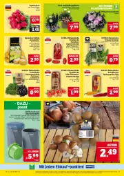 Gazetka promocyjna Marktkauf - Prospekt - Gazetka - ważna od 07.06 do 07.06.2025 - strona 5 - produkty: aktionspreis, bio, deka, Eichblattsalat, eis, elle, feinschmecker, flasche, kartoffel, kartoffeln, kräuter, minze, nuss, paprika, paprika mix, pflaume, pflaumen, radieschen, reis, rispentomaten, rosmarin, salat, speisekartoffeln, Spezi, Spitzpaprika, Ti, tomate, tomaten, ZTE