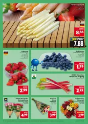 Gazetka promocyjna Marktkauf - Prospekt - Gazetka - ważna od 07.06 do 07.06.2025 - strona 6 - produkty: aktionspreis, beere, beeren, deka, eis, erdbeere, erdbeeren, heidelbeere, heidelbeeren, nuss, reis, rhabarber, rosen, sac, spargel, Ti, ZTE