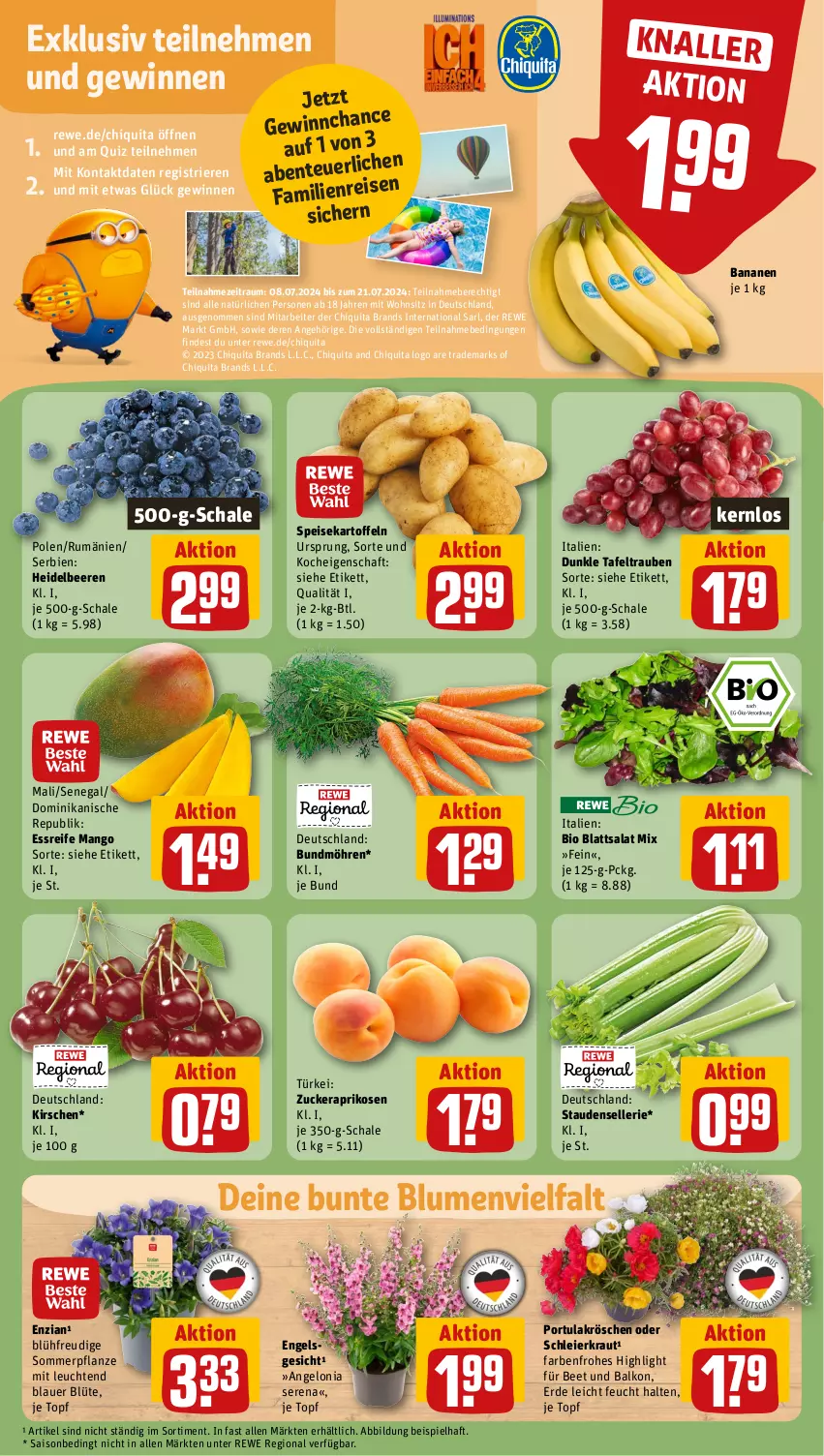 Aktueller Prospekt Rewe - Prospekte - von 08.07 bis 13.07.2024 - strona 7 - produkty: aprikose, aprikosen, auer, banane, bananen, beere, beeren, bio, blume, blumen, Blüte, Bundmöhren, chiquita, eier, eis, elle, Engel, ente, erde, heidelbeere, heidelbeeren, kartoffel, kartoffeln, kirsch, kirsche, kirschen, Kraut, Leuchte, leuchten, mango, möhren, pflanze, rum, salat, Schal, Schale, speisekartoffeln, stauden, tafeltrauben, Ti, topf, trauben, zucker