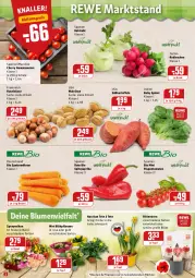 Gazetka promocyjna Rewe - Diese Woche im Angebot! - Gazetka - ważna od 08.01 do 08.01.2022 - strona 2 - produkty: beutel, bio, blume, blumen, Blüte, eis, HP, kartoffel, kartoffeln, kohlrabi, möhren, paprika, pflanze, pflanzen, radieschen, ring, rispentomaten, ritter, Romatomaten, Schal, Schale, speisemöhren, spinat, Spitzpaprika, Süßkartoffeln, Ti, tomate, tomaten, topf, WICK