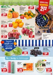 Gazetka promocyjna Rewe - Diese Woche im Angebot! - Gazetka - ważna od 08.01 do 08.01.2022 - strona 3 - produkty: beere, beeren, bio, Blaubeer, blaubeere, clementinen, discount, eis, eisbergsalat, Goldstücke, grana, Granatäpfel, kühlregal, mandarine, mandarinen, orange, orangen, Rana, regal, rote tafeläpfel, salat, Schal, Schale, smoothie, smoothies, tafeläpfel, tafeltrauben, Ti, trauben, true fruits