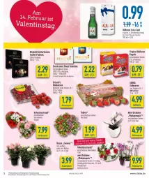 Gazetka promocyjna Diska - Prospekte - Gazetka - ważna od 12.02 do 12.02.2022 - strona 3 - produkty: aktionspreis, beere, beeren, Blüte, burger, deka, eis, erdbeere, erdbeeren, fisch, flasche, geschenkpackung, gin, himbeer, himbeere, himbeeren, Kugel, merci, orchidee, phalaenopsis, reis, Ria, rosen, Schal, Schale, sekt, storck, Ti, topf, Trüffel