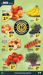 Gazetka promocyjna Netto - Woche 35 - Gazetka - ważna od 03.09 do 03.09.2022 - strona 2 - produkty: angebot, angebote, banane, bananen, Nektar, nektarinen, pflaume, pflaumen, rispentomaten, Ti, tomate, tomaten, topf, trauben, zwiebel, zwiebeln