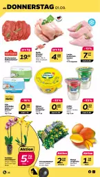 Gazetka promocyjna Netto - Woche 35 - Gazetka - ważna od 03.09 do 03.09.2022 - strona 22 - produkty: chrysanthemen, frischkäse, froop, kalbsschnitzel, Kaninchenkeule, Käse, kräuter, mango, margarine, Müller, müller froop, natur, oder kräuter, orchidee, pflanze, pflanzen, Rostocker, schnitzel, Ti, topf