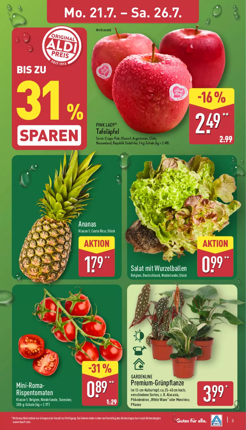 Aktueller Prospekt Aldi Nord - Von Montag - von 21.07 bis 26.07.2025 - strona 3 - produkty: ananas, ball, Blüte, Brei, Elan, gin, kulturtopf, LG, monster, Monstera, pflanze, Pink Lady, rispentomaten, salat, Schal, Schale, tafeläpfel, Ti, tomate, tomaten, topf, ZTE