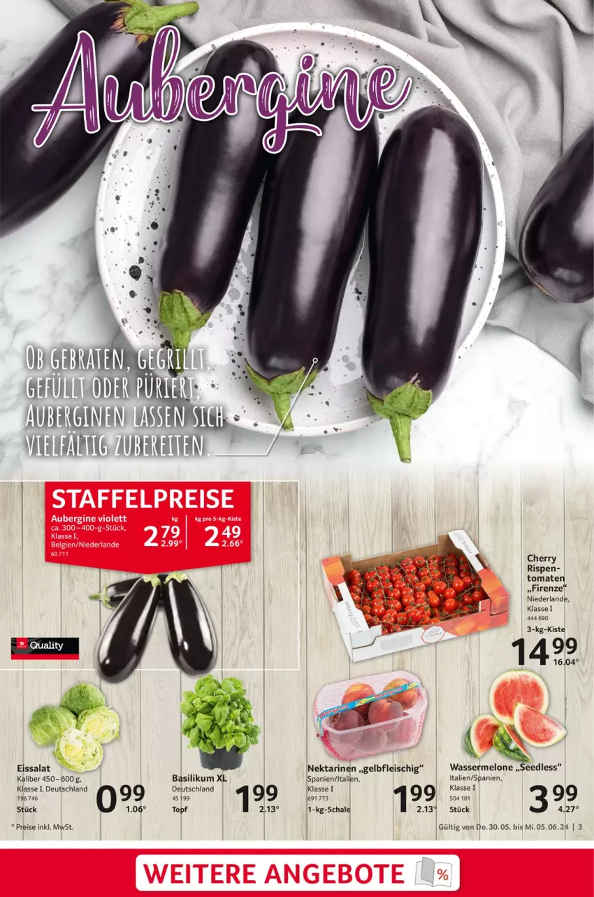 Aktueller Prospekt Selgros - Food - von 30.05 bis 05.06.2024 - strona 3 - produkty: basilikum, eis, fleisch, Nektar, nektarinen, reis, salat, Schal, Schale, Ti, tomate, tomaten, topf