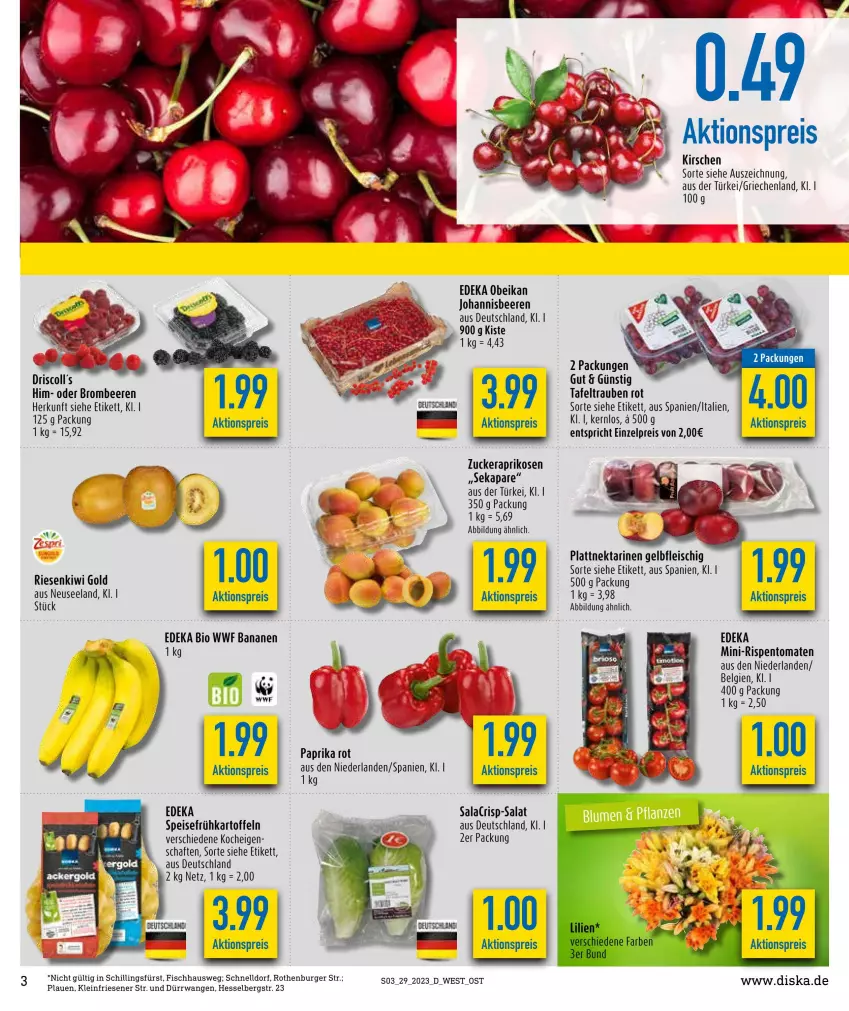 Aktueller Prospekt Diska - Prospekte - von 17.07 bis 22.07.2023 - strona 3 - produkty: aktionspreis, aprikose, aprikosen, beere, beeren, brombeere, brombeeren, burger, deka, driscoll's, eis, fisch, Frühkartoffeln, johannisbeere, Johannisbeeren, kartoffel, kartoffeln, kirsch, kirsche, kirschen, kiwi, Kiwi Gold, LG, mini-rispentomaten, Nektar, nektarinen, paprika, paprika rot, reis, rispentomaten, salat, speisefrühkartoffeln, tafeltrauben, Ti, tomate, tomaten, trauben, zucker