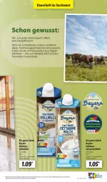 Gazetka promocyjna Lidl - Aktionsprospekt - Gazetka - ważna od 02.09 do 02.09.2023 - strona 25 - produkty: angebot, auer, eis, elle, milch, reis, Ti, vollmilch, ZTE