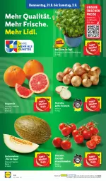 Gazetka promocyjna Lidl - Aktionsprospekt - Gazetka - ważna od 02.09 do 02.09.2023 - strona 58 - produkty: basilikum, cocktail, cocktails, eis, grapefruit, melone, ndk, Rauch, reis, Schal, Schale, strauchtomaten, Ti, tomate, tomaten, topf, zucker, Zuckermelone, zwiebel, zwiebeln