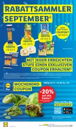 Gazetka promocyjna Lidl - Aktionsprospekt - Gazetka - ważna od 02.09 do 02.09.2023 - strona 8 - produkty: angebot, coupon, coupons, eis, erde, Fertigsalat, gutschein, ndk, salat, salate, Schal, Schale, telefon, Ti, Tüte