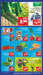 Gazetka promocyjna Marktkauf - Prospekt - Gazetka - ważna od 18.01 do 18.01.2025 - strona 11 - produkty: aktionspreis, deka, edelstahl, eis, gurke, gurken, küche, Küchen, Küchenreibe, nuss, orchidee, phalaenopsis, reis, salat, Salatgurke, salatgurken, Ti, Tiere, topf, ZTE