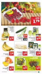 Gazetka promocyjna Marktkauf - Prospekt - Gazetka - ważna od 19.10 do 19.10.2024 - strona 7 - produkty: aktionspreis, banane, bananen, beere, beeren, bio, braun, champignon, champignons, deka, edeka bio, eis, elle, feinschmecker, gurke, himbeer, himbeere, himbeeren, Kaki, kartoffel, kartoffeln, nuss, reis, Romanasalat, salat, Salatgurke, spargel, speisekartoffeln, tee, Ti