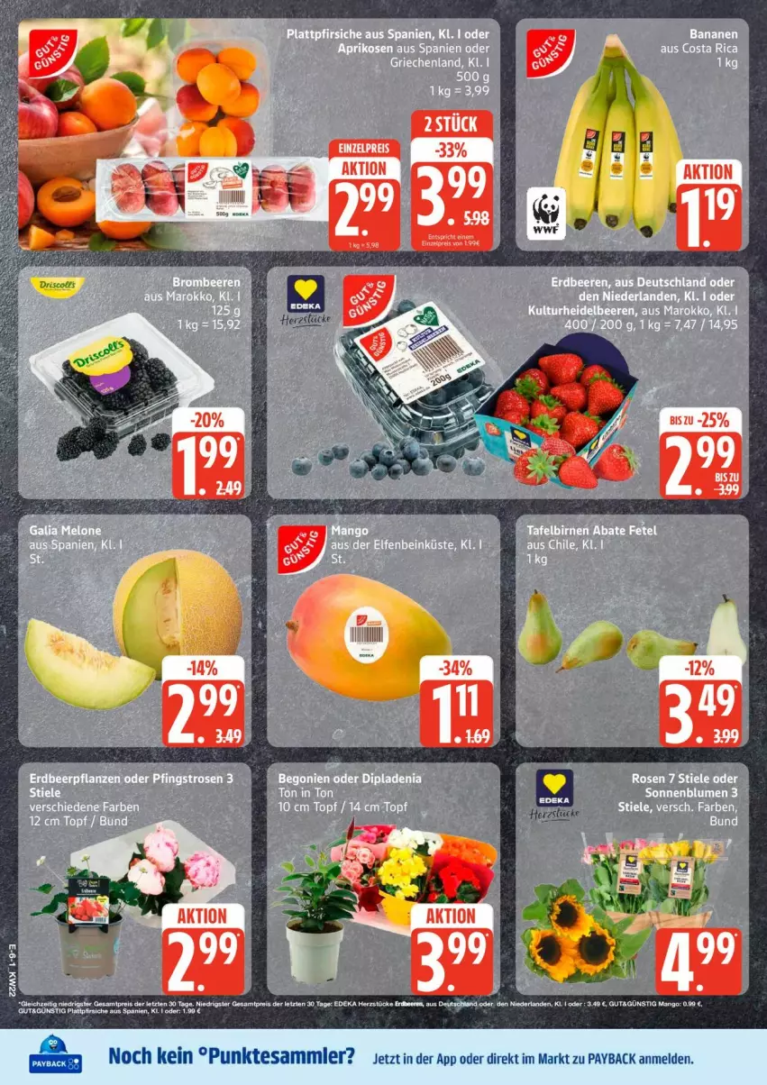 Aktueller Prospekt Edeka - Prospekte - von 25.05 bis 30.05.2026 - strona 6 - produkty: payback, tee, tesa, Ti