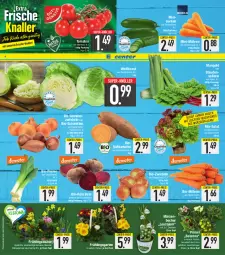 Gazetka promocyjna E Center - Angebote der Woche - Gazetka - ważna od 25.02 do 25.02.2023 - strona 2 - produkty: ball, Becher, beutel, bio, Bio-Gemüse, Blüte, eis, elle, ente, Garten, Gemüsezwiebel, gurke, gurken, kartoffel, Kraut, mango, Mini-Möhren, möhren, pflanze, pflanzen, reis, ring, rosen, rote bete, salat, Schal, Schalotte, senf, stauden, super-knüller, Ti, tomate, tomaten, topf, zwiebel, zwiebeln