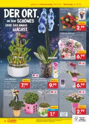 Gazetka promocyjna Netto Marken-Discount - Filial-Angebote - Gazetka - ważna od 31.12 do 31.12.2022 - strona 40 - produkty: angebot, angebote, bamboo, bambus, bestpreis, Blüte, discount, eis, erde, glücksklee, Holz, Kalanchoe, marken-discount, Mett, orchidee, orchideen, reis, rosen, Schmetterling, sekt, Ti, topf, Tüte, ZTE