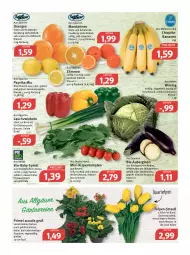 Gazetka promocyjna Feneberg - Prospekte - Gazetka - ważna od 05.02 do 05.02.2022 - strona 6 - produkty: antipasti, asti, aubergine, auberginen, auer, banane, bananen, Bau, beutel, bio, brot, chiquita, dauertiefpreis, eis, elle, fleisch, frucht, früchte, fruchtfleisch, gin, grill, kräuter, Lauchzwiebel, lauchzwiebeln, LG, mac, mandarine, mandarinen, mini-rispentomaten, Ofen, orange, orangen, paprika, paprika mix, quark, reis, rispentomaten, rwe, saft, salat, salate, sauce, saucen, Schal, Schale, spinat, Ti, tiefpreis, tomate, tomaten, topf, Vase, wasser, Wirsing, zitrone, zitronen, zwiebel, zwiebeln