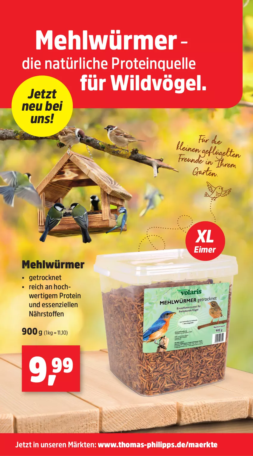 Aktueller Prospekt Thomas Philipps - von 18.08 bis 23.08.2025 - strona 3 - produkty: eimer, elle, Garten, leine, mehl, Ti, Wild