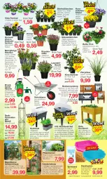 Gazetka promocyjna Jawoll - Prospekte - Gazetka - ważna od 26.03 do 26.03.2022 - strona 5 - produkty: Beetumrandung, decke, Deckel, eis, flasche, Gewächshaus, Heu, Holz, kirsch, Laufen, lavendel, ndk, pflanze, pflanzen, reis, rel, rwe, sac, Sandkasten, spielsand, sprühflasche, stauden, Ti, tisch, topf, wasser