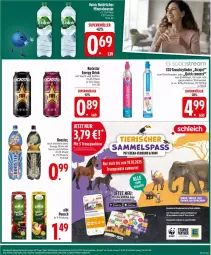 Gazetka promocyjna Edeka - Prospekte - Gazetka - ważna od 18.10 do 18.10.2025 - strona 23 - produkty: deka, drink, energy drink, flasche, Rockstar, schrauben, Soda, sodastream, Sprudel, Ti, Tiere, wasser