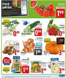 Gazetka promocyjna Edeka - Prospekte - Gazetka - ważna od 18.10 do 18.10.2025 - strona 4 - produkty: acer, ananas, banane, beutel, bio, braun, champignon, champignons, cola, deka, eis, ente, feldsalat, gurke, kartoffel, kartoffeln, kirsch, kohlrabi, Kürbis, Lauchzwiebel, lauchzwiebeln, radieschen, reis, rucola, salat, Schal, Schale, speisekartoffeln, Ti, Yo, zwiebel, zwiebeln