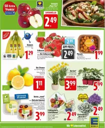 Gazetka promocyjna Edeka - Prospekte - Gazetka - ważna od 28.03 do 28.03.2026 - strona 5 - produkty: ananas, beere, beeren, bio, bio-zitronen, blume, blumen, deka, erdbeere, erdbeeren, Erdbeerpflanze, honig, mango, melone, obst, pflanze, Physalis, salat, snack, topf, trauben, zitrone, zitronen