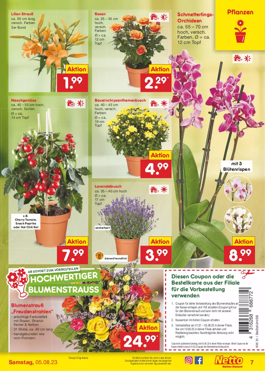 Aktueller Prospekt Netto Marken-Discount - Filial-Angebote - von 31.07 bis 05.08.2023 - strona 7 - produkty: angebot, auer, Bau, Bauer, bestpreis, blume, blumen, Blumenstrauß, Blüte, chili, chrysanthemen, coupon, eis, elle, erde, flieder, hot chili, lavendel, Mett, orchidee, orchideen, paprika, pflanze, pflanzen, reis, rosen, rwe, Schmetterling, schmetterlingsorchidee, snack, Ti, tomate, topf, ZTE