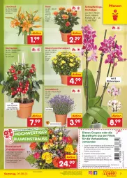 Gazetka promocyjna Netto Marken-Discount - Filial-Angebote - Gazetka - ważna od 05.08 do 05.08.2023 - strona 7 - produkty: angebot, auer, Bau, Bauer, bestpreis, blume, blumen, Blumenstrauß, Blüte, chili, chrysanthemen, coupon, eis, elle, erde, flieder, hot chili, lavendel, Mett, orchidee, orchideen, paprika, pflanze, pflanzen, reis, rosen, rwe, Schmetterling, schmetterlingsorchidee, snack, Ti, tomate, topf, ZTE