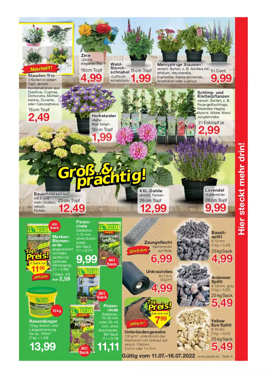 Aktueller Prospekt Jawoll - Prospekte - von 10.07 bis 16.07.2022 - strona 9 - produkty: auer, Bau, Bauer, blume, blumen, dahlie, Draht, dünger, erde, Garten, Heu, hortensie, Kraut, lavendel, LG, neuheit, pflanze, pflanzen, rasen, rasendünger, rel, rind, rum, sac, stauden, Ti, topf, wein, Wild