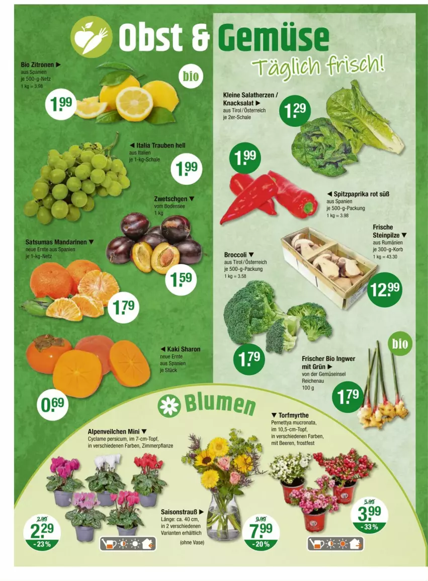 Aktueller Prospekt Vmarkt - Prospekte - von 25.09 bis 01.10.2025 - strona 4 - produkty: Alpenveilchen, beere, beeren, bio, broccoli, ingwer, korb, leine, paprika, paprika rot, pflanze, pilze, Ria, rum, salat, salatherzen, Schal, Schale, Spitzpaprika, Steinpilze, Ti, topf, Vase