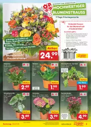 Gazetka promocyjna Netto Marken-Discount - Filial-Angebote - Gazetka - ważna od 29.07 do 29.07.2023 - strona 9 - produkty: angebot, bestpreis, blume, blumen, Blumenstrauß, coupon, eis, elle, erde, Gerber, Grünpflanzen, hortensie, hortensien, Kalanchoe, kerze, Kraut, pflanze, pflanzen, reis, rosen, stauden, Ti, topf, übertopf, ZTE