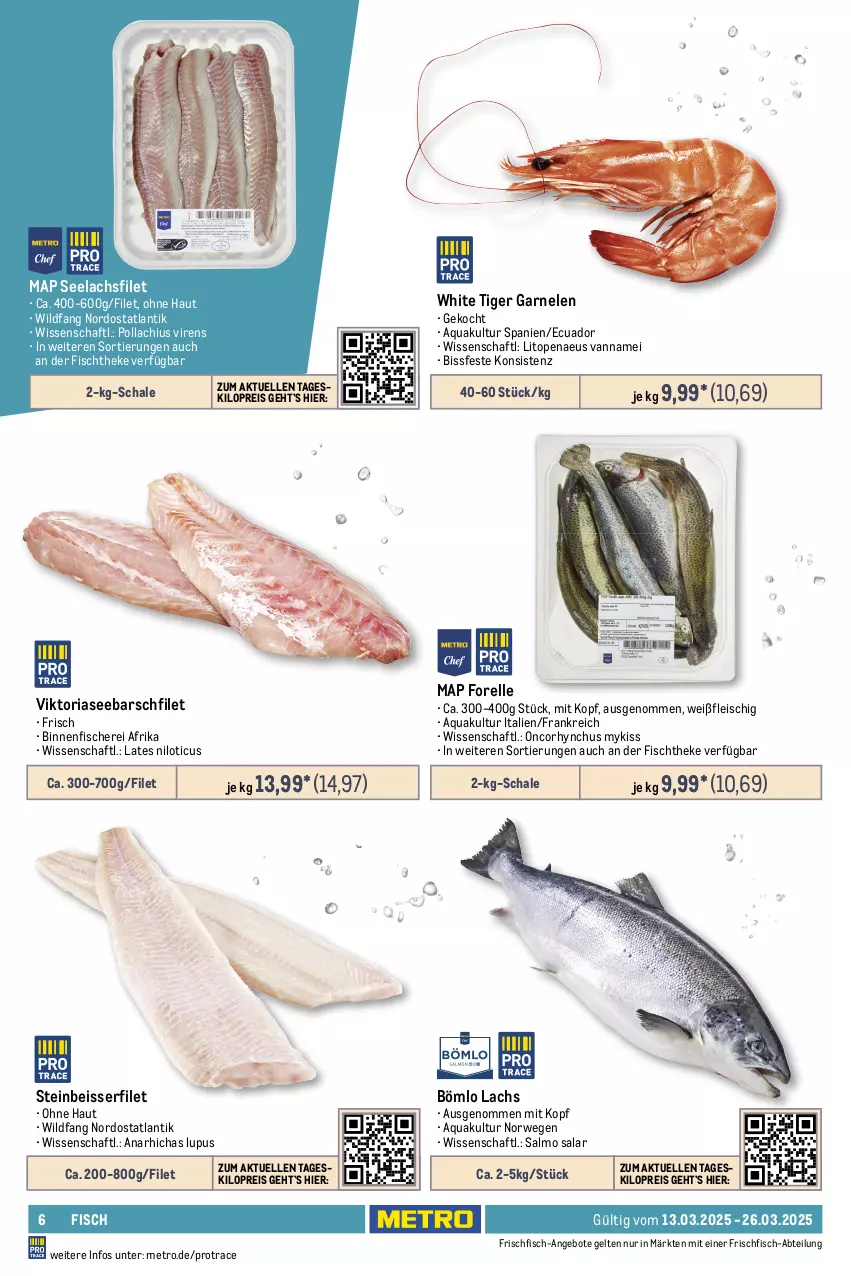 Aktueller Prospekt Metro - GastroJournal - von 12.02 bis 26.03.2025 - strona 6 - produkty: Abtei, angebot, angebote, aqua, Becher, beutel, eis, elle, filet, fisch, fische, Fischer, fischtheke, fleisch, forelle, frischfisch, frutti di mare, garnelen, lachs, lachsfilet, lack, Metro, Muscheln, reis, rel, Ria, ring, rwe, Schal, Schale, Schere, schnitten, seelachsfilet, thunfisch, Ti, tiefpreis, Tintenfischringe, Waage, Wild