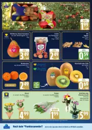Gazetka promocyjna Edeka - Prospekte - Gazetka - ważna od 03.01 do 03.01.2027 - strona 16 - produkty: bio, Birnen, kiwi, Kiwi Gold, mandarine, mandarinen, orchidee, payback, rosen, tafelbirnen, Ti, tisch, würfel