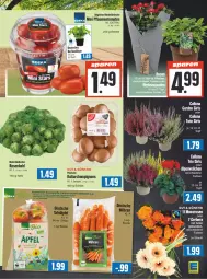 Gazetka promocyjna Edeka - Angebote der Woche - Gazetka - ważna od 07.10 do 07.10.2023 - strona 5 - produkty: Alpenveilchen, basilikum, Becher, bio, braun, champignon, champignons, deka, frucht, Gerber, pflaume, pflaumen, rosen, Rosenkohl, Schal, Schale, Ti, tomate, tomaten, topf, trolli