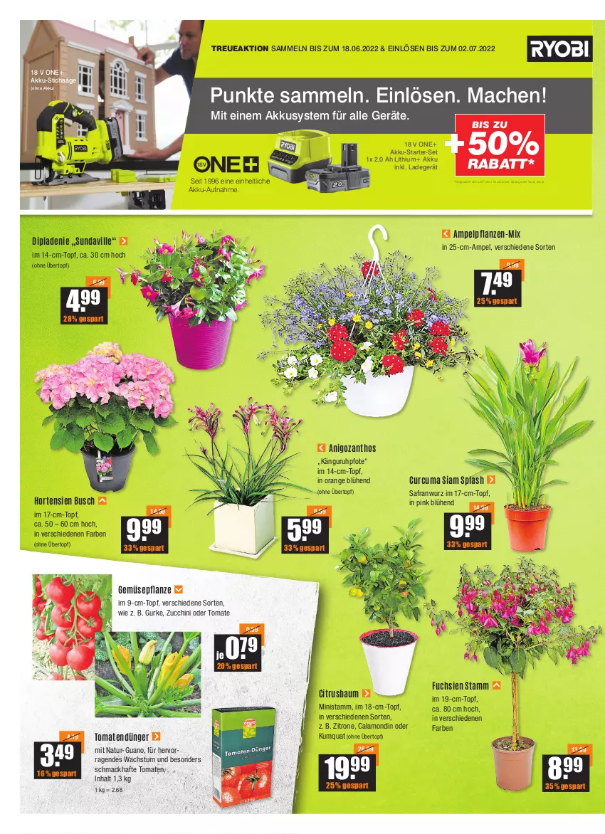 Aktueller Prospekt Vmarkt - V-Baumarkt - von 28.04 bis 04.05.2022 - strona 2 - produkty: akku, Bau, citrus, dip, dünger, gurke, hortensie, hortensien, HP, im 9-cm-topf, ladegerät, mac, natur, orange, pflanze, pflanzen, Safran, säge, stichsäge, Ti, tomate, tomaten, topf, übertopf, usb, zitrone, zucchini