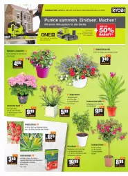 Gazetka promocyjna Vmarkt - V-Baumarkt - Gazetka - ważna od 04.05 do 04.05.2022 - strona 2 - produkty: akku, Bau, citrus, dip, dünger, gurke, hortensie, hortensien, HP, im 9-cm-topf, ladegerät, mac, natur, orange, pflanze, pflanzen, Safran, säge, stichsäge, Ti, tomate, tomaten, topf, übertopf, usb, zitrone, zucchini