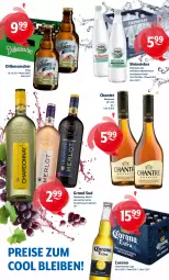 Gazetka promocyjna Getraenke Hoffmann - Prospekte - Gazetka - ważna od 09.11 do 09.11.2024 - strona 2 - produkty: Alwa, chantré, chardonnay, corona, corona extra, eis, grand sud, mars, merl, merlot, mineralwasser, natürliches mineralwasser, reis, Steinsieker, urtyp, vin de france, wasser, wein, weinbrand